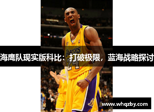 海鹰队现实版科比：打破极限，蓝海战略探讨